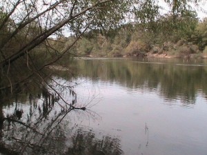 Try fishing in the Ocmulgee OR Aspen Lake