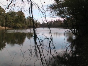 Relax on the Ocmulgee - Boat ramp is available